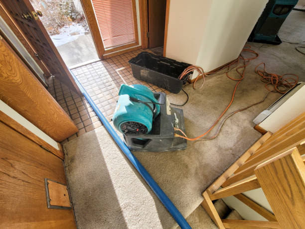Best 24-hour water damage restoration  in Camp Croft, SC