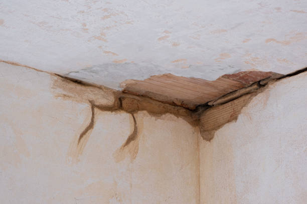 Best Residential water damage restoration  in Camp Croft, SC