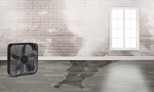 Best Fire Damage Restoration  in Camp Croft, SC