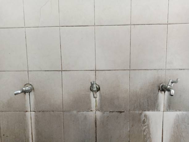 Best Mold removal after water damage  in Camp Croft, SC